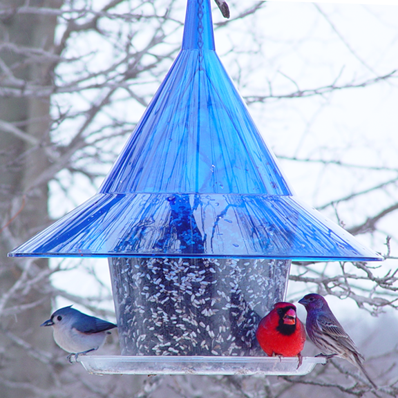 Arundale Sapphire Blue Sky Cafe Bird Feeder -[AR360-B]